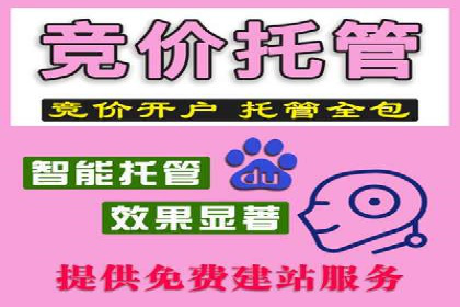 某行业巨头背后的百度竞价代运营公司